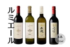 ルミエール　おすすめ赤白ワイン4本セット⑥ 167-139