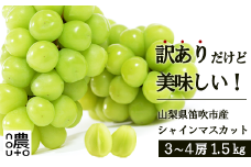 ＜25年発送先行予約＞訳あり　シャインマスカット1.5㎏ 154-044
