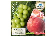 ＜25年発送先行予約＞桃×シャインマスカット 1.6㎏～2㎏　桃1㎏以上～　シャインマスカット600g以上　詰め合わせセット 154-047
