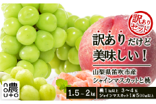 ＜25年発送＞訳あり桃×訳ありシャインマスカット　1.5㎏～2㎏　桃1㎏以上～　シャインマスカット500g以上　シャインマスカット切り落としor房　詰め合わせセット 154-048