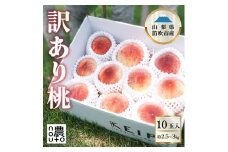 ＜25年発送先行予約＞訳あり桃10玉以上　2.5㎏～3.5㎏ 154-049