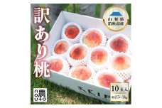 ＜25年発送＞訳あり桃10玉以上　2.5㎏～3.5㎏ 154-049