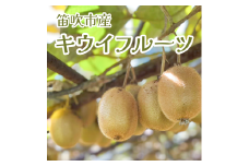 ＜25年12月より発送 先行予約＞笛吹市産　キウイフルーツ(栽培期間中、農薬不使用)　1kg程度 229-008