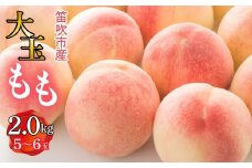 ＜25年発送先行予約＞笛吹市産　大玉もも　2.0kg(5～6玉)  227-008
