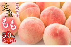 ＜25年発送先行予約＞笛吹市産　大玉もも　5.0kg(13～16玉)  227-010