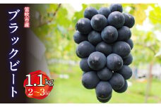 ＜25年発送先行予約＞笛吹市産　ブラックビート　1.1kg(2～3房)  227-012