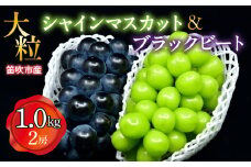 ＜25年発送先行予約＞笛吹市産　大粒ｼｬｲﾝﾏｽｶｯﾄ・ﾌﾞﾗｯｸﾋﾞｰﾄｾｯﾄ(2房)　1.0kg  227-015