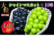＜25年発送＞笛吹市産　大粒ｼｬｲﾝﾏｽｶｯﾄ・巨峰セット(2房)　1.0kg  227-016
