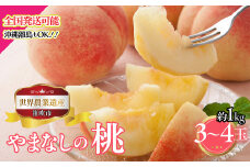 ＜25年発送先行予約＞山梨県笛吹市産　桃　約１ｋｇ　3玉～4玉 223-012
