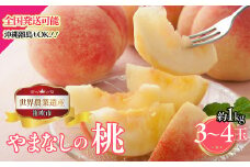 ＜25年発送先行予約＞山梨県笛吹市産　桃　約１ｋｇ　3玉～4玉 223-012