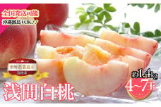 ＜25年発送先行予約＞山梨県笛吹市産　浅間白桃限定　約１．４kg　4玉～7玉 223-013