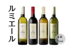 ルミエール　プレステージクラス4本セット 167-163
