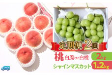 ＜25年発送先行予約＞【2回定期便】桃・シャインマスカット 106-022