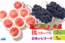 ＜25年発送＞【2回定期便】桃・巨峰orピオーネ 106-024