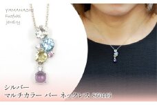 シルバー　マルチカラー　バー　ネックレス　860446  218-210