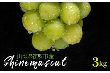 ＜25年発送先行予約＞シャインマスカット 3kg 山梨県笛吹市産 235-004