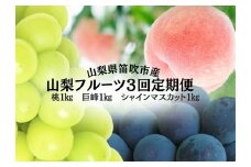 ＜25年発送＞山梨のフルーツ定期便　全３回　桃　巨峰　シャインマスカット 167-140