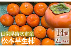 ＜25年発送先行予約＞松本早生柿　2Lサイズ 092-011