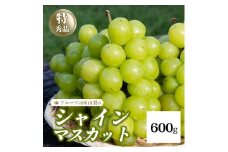 ＜25年発送先行予約＞シャインマスカット  600g　154-008-600g | フルーツ 果物 高評価 人気 ランキング おすすめ 甘い 美味しい デザート 数量限定 送料無料 山梨県産 笛吹市　種なしぶどう 「販売」 KEIPE株式会社