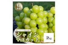 ＜25年発送先行予約＞シャインマスカット  2kg　154-008-2kg | フルーツ 果物 高評価 人気 ランキング おすすめ 甘い 美味しい デザート 数量限定 送料無料 山梨県産 笛吹市　種なしぶどう 「販売」 KEIPE株式会社