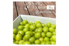 ＜25年発送先行予約＞【訳あり】 シャインマスカット 粒 2kg以上　154-033-2kg | 不揃い ご自宅用 ご家庭用 フルーツ 果物 高評価 人気 ランキング おすすめ 甘い 美味しい デザート 数量限定 送料無料 山梨県産 笛吹市 ぶどう 「販売」 KEIPE株式会社		