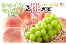 【フルーツまんぞく定期便】桃 約2kg(5～8玉)×シャインマスカット 1.2kg以上(2～3房) 126-025 | 定期便 桃 シャインマスカット 山梨県産 フルーツ 果物 くだもの シャイン シャインマスカット 新鮮 人気 おすすめ 山梨 笛吹市 |