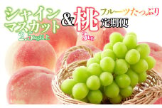 【フルーツたっぷり定期便】桃 約3kg(7～12玉)×シャインマスカット2.5g以上(3～6房) 126-026 | 定期便 桃 シャインマスカット 山梨県産 フルーツ 果物 くだもの シャイン シャインマスカット 新鮮 人気 おすすめ 山梨 笛吹市 |