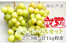 ＜25年発送先行予約＞【訳あり品】山梨県産シャインマスカット2房～3房(合計1kg程度)　229-009 