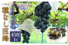 JAふえふき　ハウス種なし巨峰1房（約450ｇ） 010-017