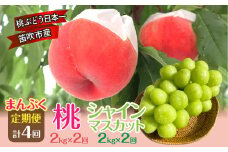 ＜25年発送＞まんぷく！桃とシャインマスカット定期便（桃2.0kg×2回　シャインマスカット2.0kg×2回）| くだもの 果物 フルーツ 桃 2.0kg もも シャインマスカット 1.0kg ぶどう 葡萄 新鮮 期間限定 山梨県 笛吹市 | 157-045