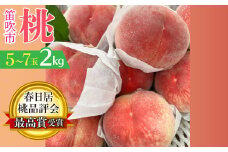 【2026年発送★先行予約】春日居桃品評会最高賞受賞！！桃の一大産地「春日居のもも」2kg 5～7玉 230-007-26y