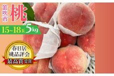 【2026年発送★先行予約】春日居桃品評会最高賞受賞！！桃の一大産地「春日居のもも」5kg 15～18玉 230-008-26y