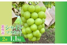 ＜25年発送先行予約＞山梨県笛吹市産　シャインマスカット 2房 約1.1kg 230-010