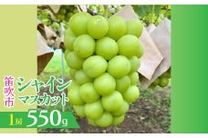 ＜25年発送＞山梨県笛吹市産　シャインマスカット 1房 約550g 230-009