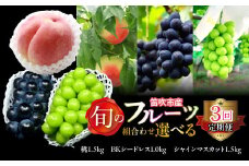 【定期便】旬のフルーツ選べる3回定期便（桃・BKシードレス・シャインマスカット）  227-017-04