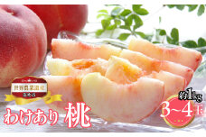 山梨県笛吹市産　ご家庭用桃(わけあり)　1kg　3玉～4玉 223-015｜ふるさと納税 人気 おすすめ ランキング もも 桃  国産 人気 期間限定 果物 フルーツ ギフト 贈り物 プレゼント 旬 山梨県 笛吹市 送料無料