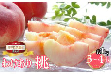 山梨県笛吹市産　ご家庭用桃(わけあり)　1kg　3玉～4玉 223-015｜ふるさと納税 人気 おすすめ ランキング もも 桃  国産 人気 期間限定 果物 フルーツ ギフト 贈り物 プレゼント 旬 山梨県 笛吹市 送料無料
