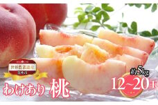 山梨県笛吹市産　ご家庭用桃(わけあり)　約5kg　12玉～20玉 223-016|ふるさと納税 人気 おすすめ ランキング もも 桃  国産 人気 期間限定 果物 フルーツ ギフト 贈り物 プレゼント 旬 山梨県 笛吹市 送料無料
