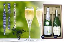 山梨の泡　飲み比べセット　甲州＆リンゴ 135-014　ふるさと納税 ワイン 笛吹市 山梨ワイン 酒 アルコール 山梨県  記念品 お祝い 送料無料