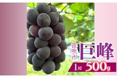 ＜2025年発送＞山梨県笛吹市産　巨峰　1房　約500g 230-011-a｜ふるさと納税 巨峰 葡萄 ぶどう 果物 フルーツ 笛吹市 国産 旬 山梨県 送料無料