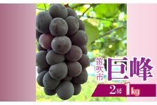 ＜2025年発送＞山梨県笛吹市産　巨峰　2房　約1kg 230-011-b｜ふるさと納税 巨峰 葡萄 ぶどう 果物 フルーツ 笛吹市 国産 旬 山梨県 送料無料
