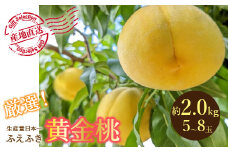 【2026年発送★先行予約】 厳選！山梨県笛吹市産 黄金桃 約2kg (5～8玉) 156-012-26y