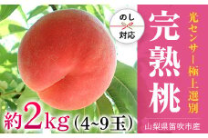 【2026年発送★先行予約】笛吹市産こだわりの桃 約2.0kg(4～9玉) 常温 090-010-26y ｜もも 桃 発送 丸章青果 糖度センサー 高糖度 山梨 笛吹市 一宮町 桃 ピーチ 果物 フルーツ 人気  新鮮 旬 発送 2.0kg 2.0キロ 2キロ 国産 山梨県 笛吹市 山梨県笛吹市 果物 ピーチ  化粧箱 ギフト 贈答 朝採り 朝どり モモ先行 2kg 白桃系｜