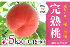 【2026年発送★先行予約】笛吹市産こだわりの桃 約5.0kg (9～16玉) 常温配送 090-011-26y  ｜もも 桃 発送 丸章青果 糖度センサー 高糖度 山梨 笛吹市 一宮町 桃 ピーチ 果物 フルーツ 新鮮 旬 発送 5.0kg 5.0キロ 5キロ 国産 もも 笛吹市 桃 もも 山梨県笛吹市 果物 ピーチ  朝採り 朝どり モモ 先行 5kg 白桃系｜