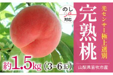 【2026年発送★先行予約】笛吹市産こだわりの桃 約1.5kg(3～6玉) 常温 090-012-26y