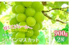 笛吹市産 シャインマスカット2房 900g(450g×2)　武川農園 241-011｜ふるさと納税 ぶどう シャインマスカット  笛吹市 国産 人気 期間限定 果物 フルーツ 旬 山梨県 送料無料