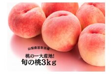 【2026年発送★先行予約】桃の一大産地！笛吹市産旬の桃3kg 167-011-26y