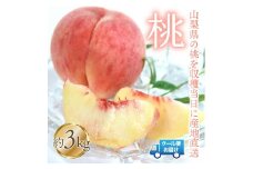 【2026年発送★先行予約】桃 3kg　株式会社華栄牛産  179-005-26y