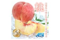 【2026年発送★先行予約】桃 5kg　株式会社華栄牛産  179-006-26y