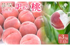 【2026年発送★先行予約】笛吹市産　訳あり桃 約3kg（7～12玉） 205-003-26y